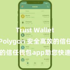   Trust Wallet如何连接Polygon 安全高效的信任钱包app助您快速惩处金钱