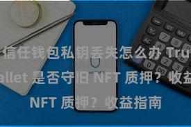 信任钱包私钥丢失怎么办 Trust Wallet 是否守旧 NFT 质押？收益指南