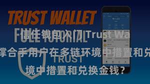 信任钱包入门 Trust Wallet若何撑合手用户在多链环境中措置和兑换金钱？