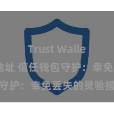 Trust Wallet官方下载地址 信任钱包守护：幸免丢失的灵验措施